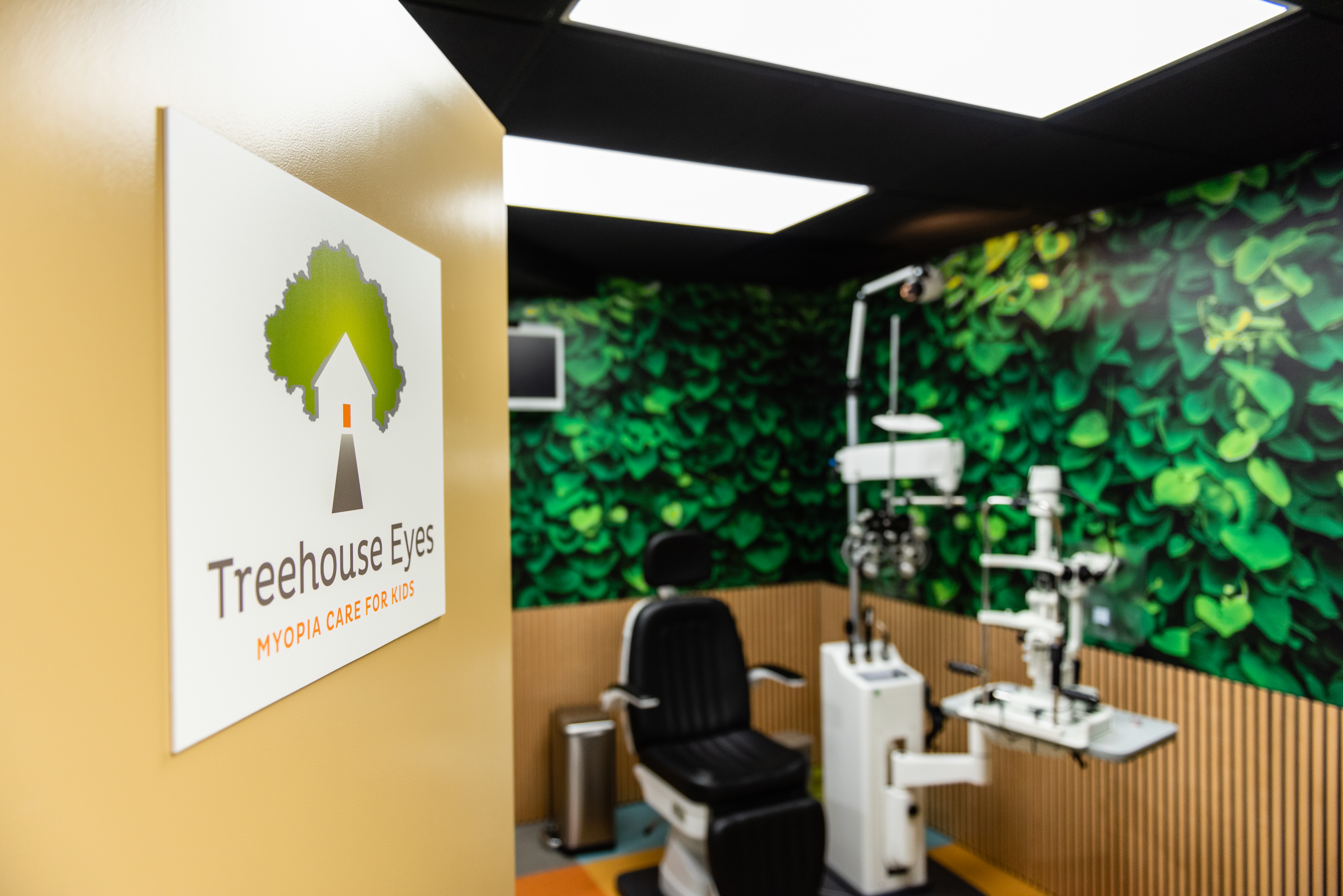 treehouse treatment room