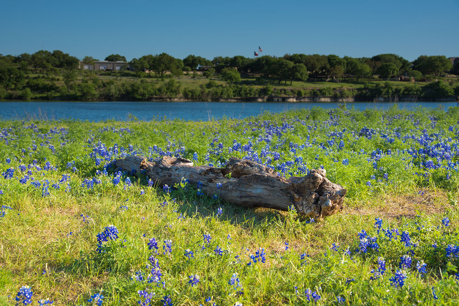 cedar-park-texas-treehouse-health