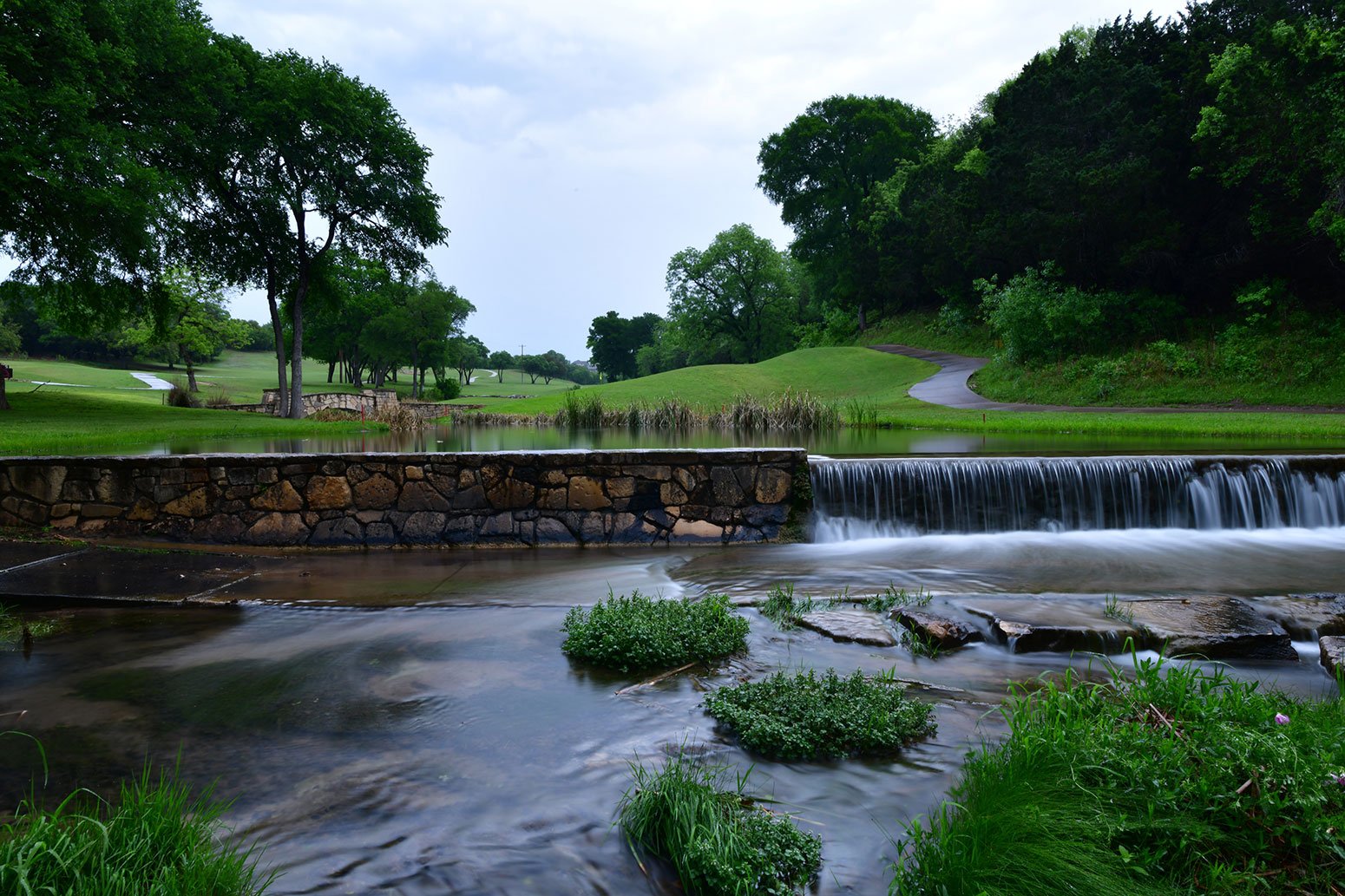 leander-texas-treehouse-health